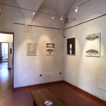 dettaglio mostra